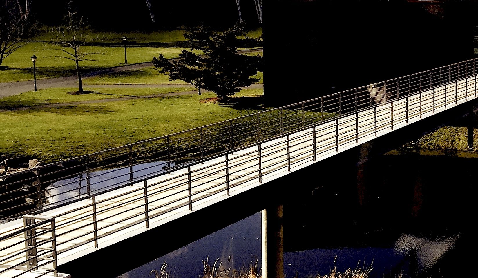 puente-bridge